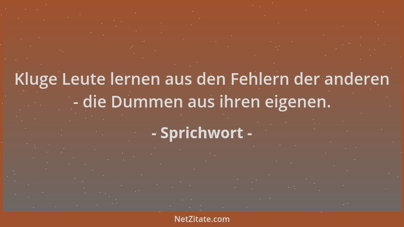 Sprichwort - Kluge Leute lernen aus den Fehlern der anderen - die Dummen aus ihren eigenen....