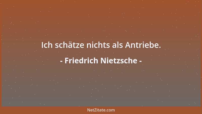 Friedrich Nietzsche - Ich schätze nichts als Antriebe....