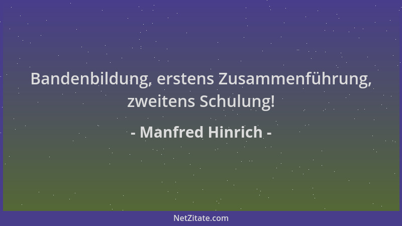 Manfred Hinrich - Bandenbildung, erstens Zusammenführung, zweitens Schulung!...