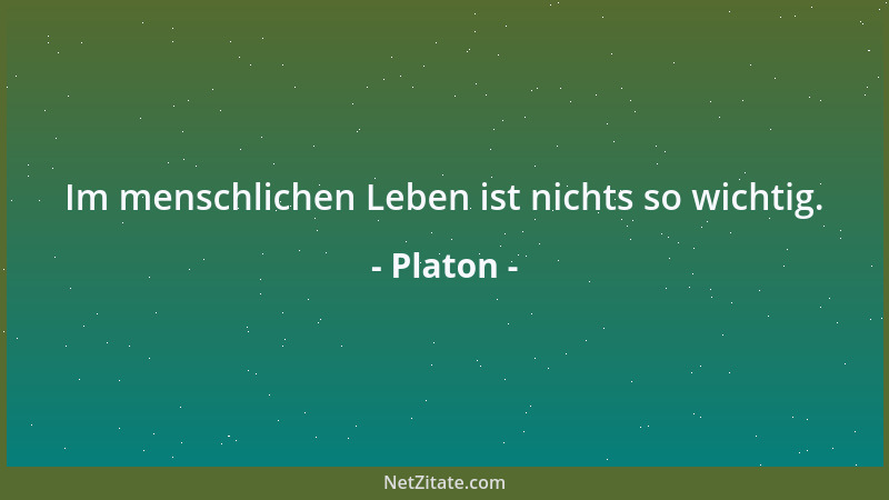 Platon - Im menschlichen Leben ist nichts so wichtig....