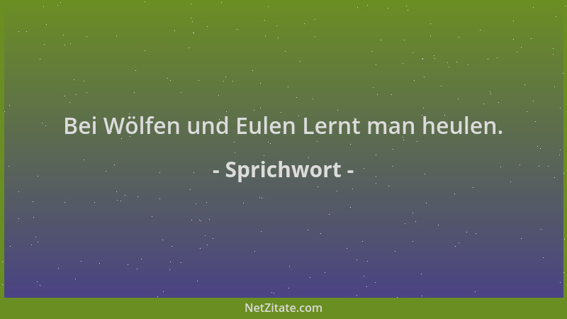 Sprichwort - Bei Wölfen und Eulen Lernt man heulen....