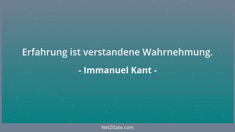 Immanuel Kant - Erfahrung ist verstandene Wahrnehmung....