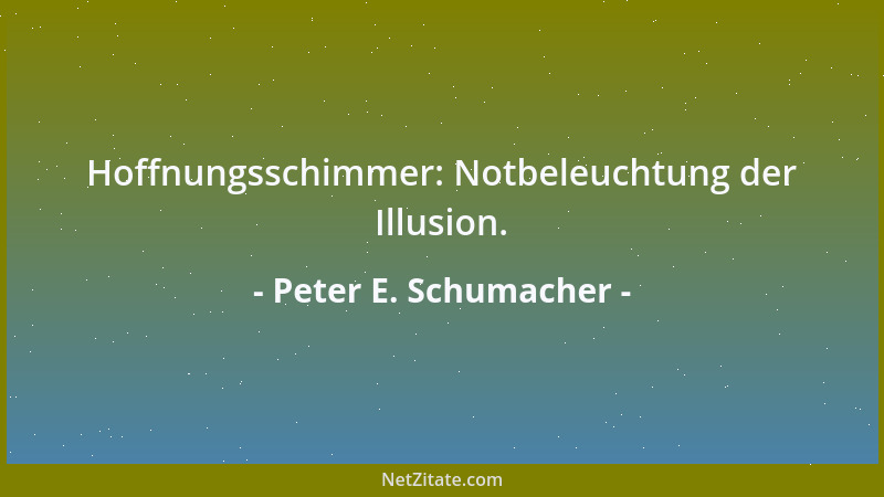 Peter E. Schumacher - Hoffnungsschimmer: Notbeleuchtung der Illusion....