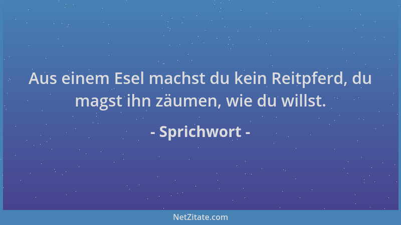 Sprichwort - Aus einem Esel machst du kein Reitpferd, du magst ihn zäumen, wie du willst....