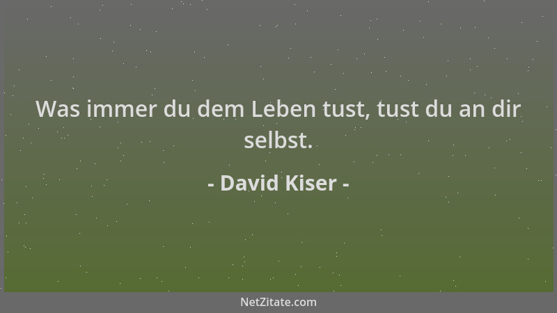 David Kiser - Was immer du dem Leben tust, tust du an dir selbst....