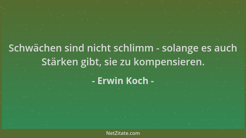 Erwin Koch - Schwächen sind nicht schlimm - solange es auch Stärken gibt, sie zu kompensieren....