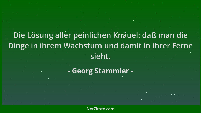 Georg Stammler - Die Lösung aller peinlichen Knäuel: daß man die Dinge in ihrem Wachstum und damit in ihrer Ferne sieht....