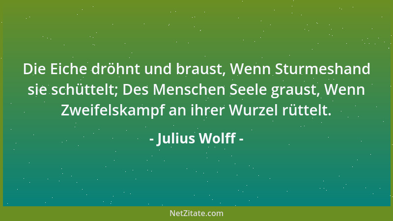 Julius Wolff - Wer mit allem Tun und Sinnen immer in die Zukunft starrt, wird die Zukunft nie gewinnen und verliert die Geg...