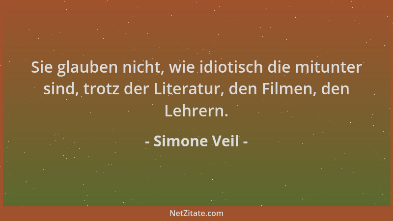 Simone Veil - Sie glauben nicht, wie idiotisch die mitunter sind, trotz der Literatur, den Filmen, den Lehrern....