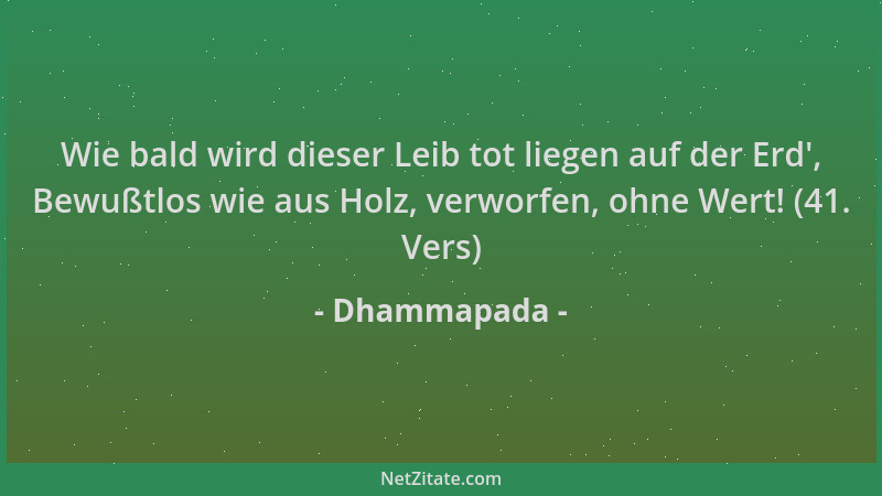 Dhammapada - Wie bald wird dieser Leib tot liegen auf der Erd ', Bewußtlos wie aus Holz, verworfen, ohne Wert! (41. Vers)...