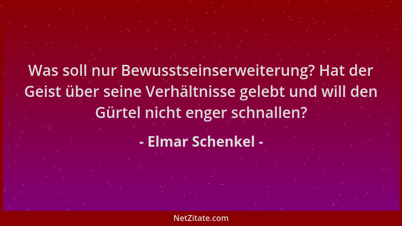 Elmar Schenkel - Was soll nur Bewusstseinserweiterung? Hat der Geist über seine Verhältnisse gelebt und will den Gürtel nic...