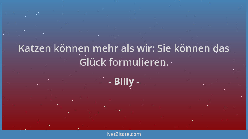 Billy - Katzen können mehr als wir: Sie können das Glück formulieren....