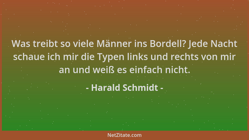 Harald Schmidt - Was treibt so viele Männer ins Bordell? Jede Nacht schaue ich mir die Typen links und rechts von mir an un...