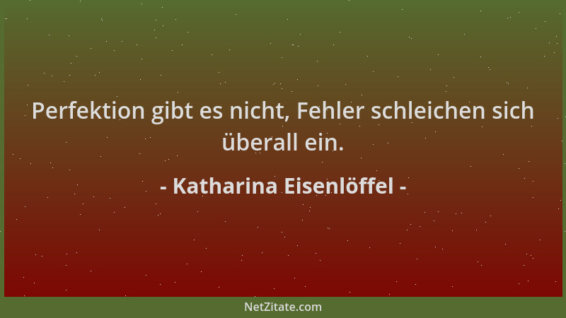 Katharina Eisenlöffel - Perfektion gibt es nicht, Fehler schleichen sich überall ein....