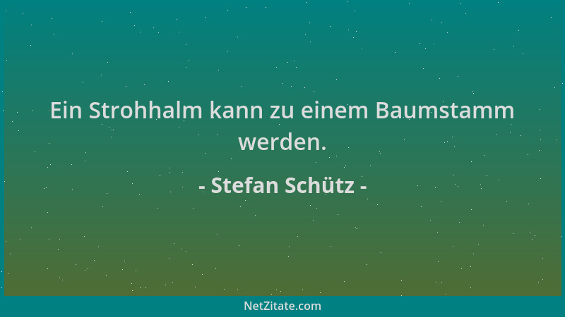 Stefan Schütz - Ein Strohhalm kann zu einem Baumstamm werden....