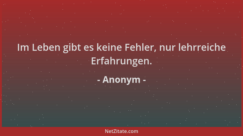 Anonym - Im Leben gibt es keine Fehler, nur lehrreiche Erfahrungen....