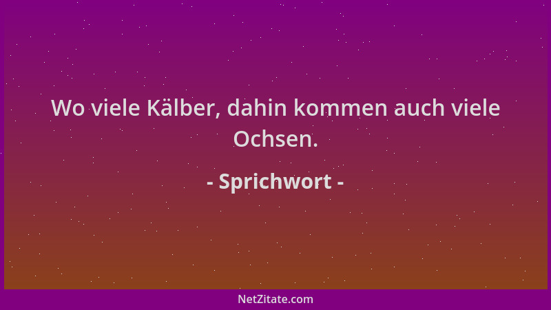 Sprichwort - Wo viele Kälber, dahin kommen auch viele Ochsen....