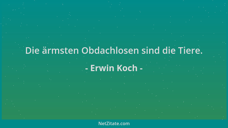 Erwin Koch - Die ärmsten Obdachlosen sind die Tiere....