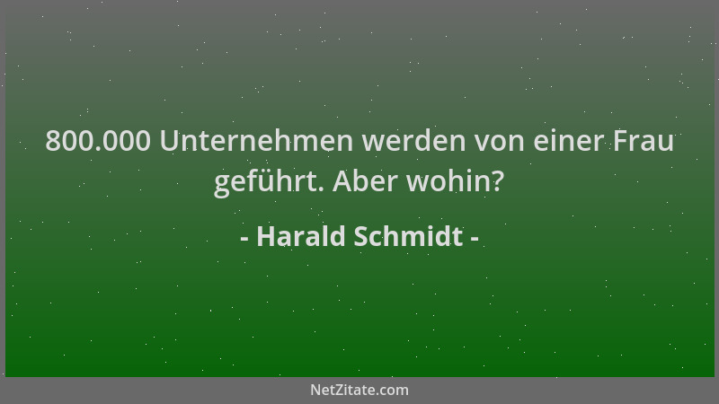 Harald Schmidt - 800.000 Unternehmen werden von einer Frau geführt. Aber wohin?...