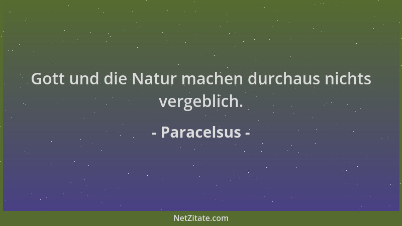 Paracelsus - Gott und die Natur machen durchaus nichts vergeblich....