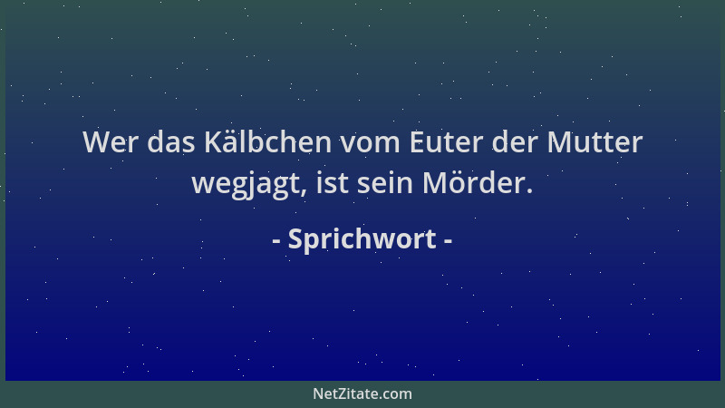Sprichwort - Wer das Kälbchen vom Euter der Mutter wegjagt, ist sein Mörder....