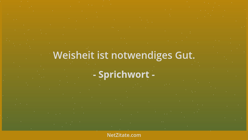 Sprichwort - Weisheit ist notwendiges Gut....