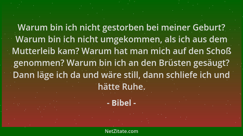 Bibel - Warum bin ich nicht gestorben bei meiner Geburt? Warum bin ich nicht umgekommen, als ich aus dem Mutterleib kam? Wa...