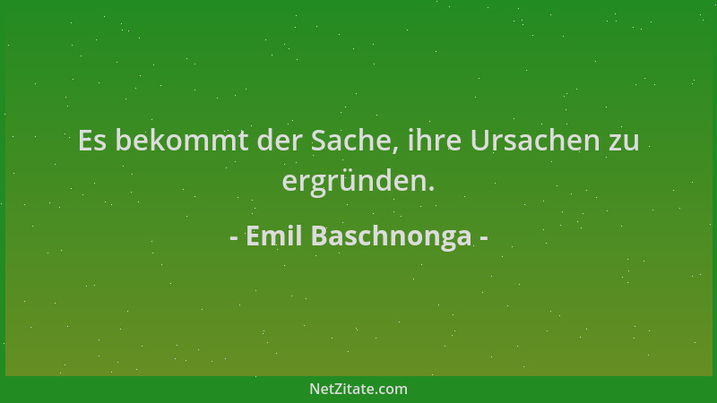 Emil Baschnonga - Es bekommt der Sache, ihre Ursachen zu ergründen....