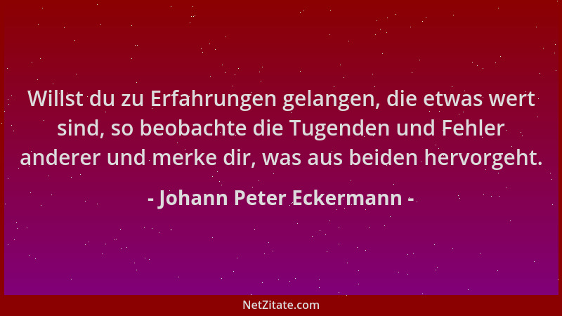 Johann Peter Eckermann - Willst du zu Erfahrungen gelangen, die etwas wert sind, so beobachte die Tugenden und Fehler ander...