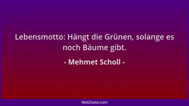 Mehmet Scholl - Lebensmotto: Hängt die Grünen, solange es noch Bäume gibt....