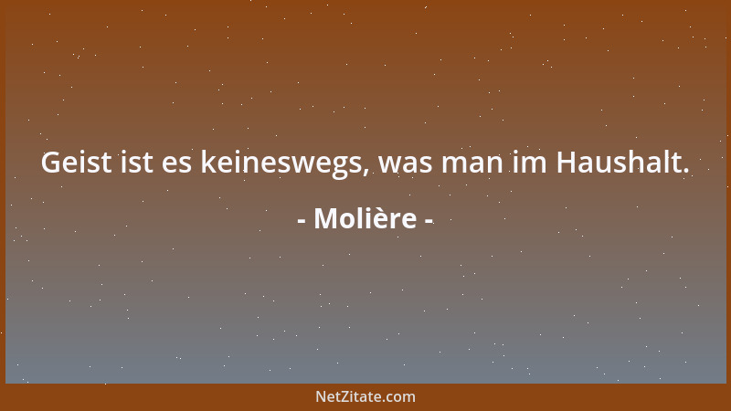 Molière - Geist ist es keineswegs, was man im Haushalt....