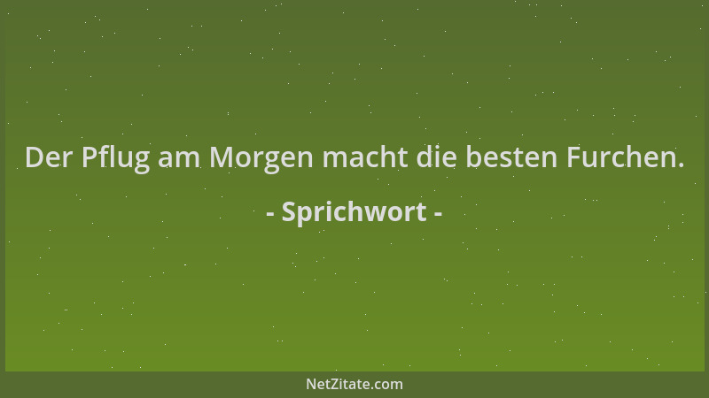 Sprichwort - Der Pflug am Morgen macht die besten Furchen....