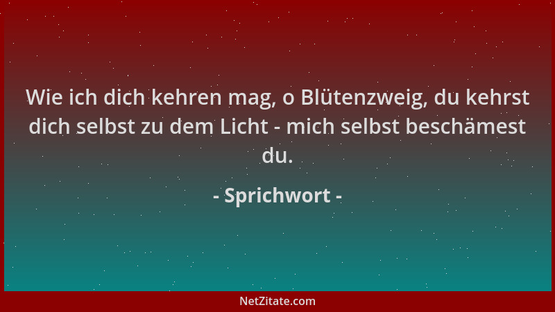 Sprichwort - Wie ich dich kehren mag, o Blütenzweig, du kehrst dich selbst zu dem Licht - mich selbst beschämest du....