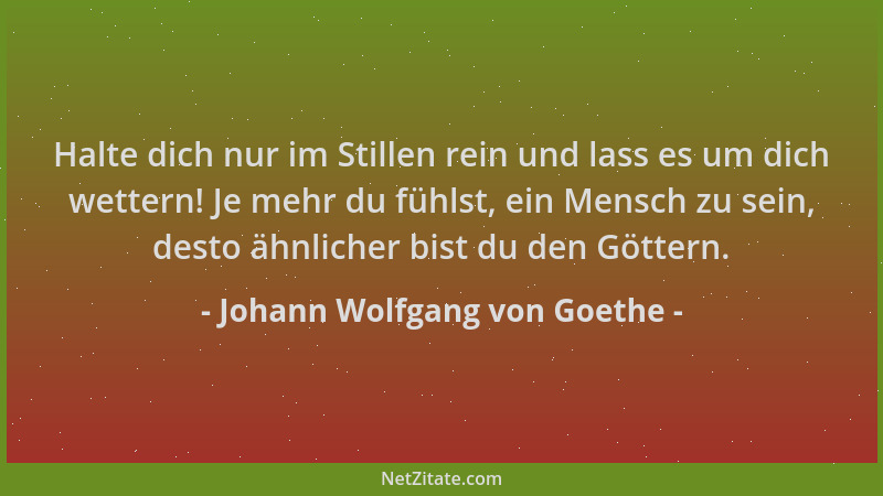 Johann Wolfgang von Goethe - Halte dich nur im Stillen rein und lass es um dich wettern! Je mehr du fühlst, ein Mensch zu s...