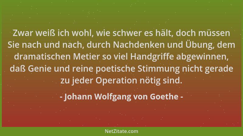 Johann Wolfgang von Goethe - Zwar weiß ich wohl, wie schwer es hält, doch müssen Sie nach und nach, durch Nachdenken und Üb...
