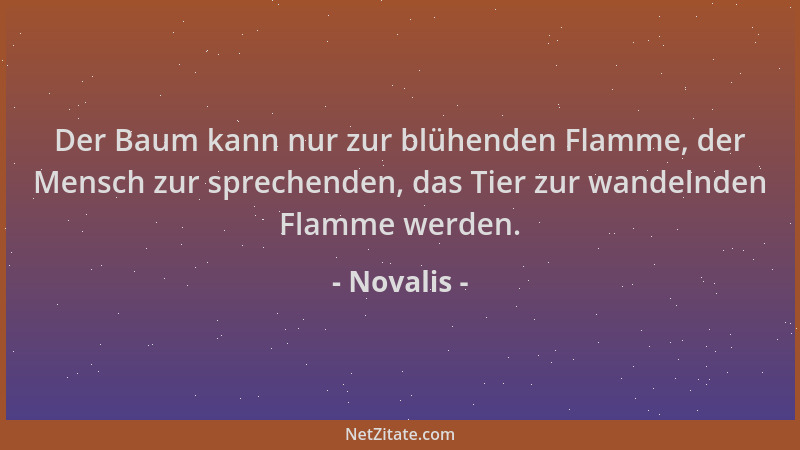 Novalis - Der Baum kann nur zur blühenden Flamme, der Mensch zur sprechenden, das Tier zur wandelnden Flamme werden....