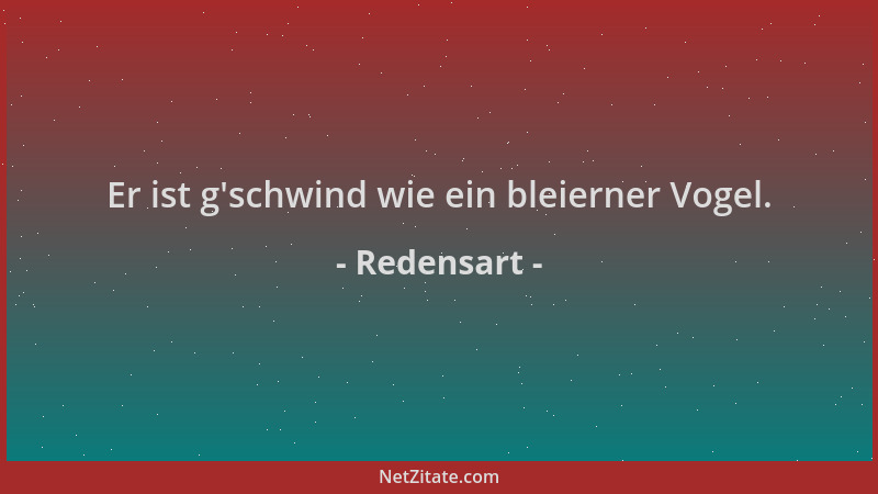 Redensart - Er ist g 'schwind wie ein bleierner Vogel....