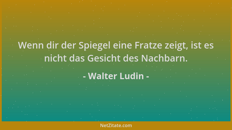 Walter Ludin - Wenn dir der Spiegel eine Fratze zeigt, ist es nicht das Gesicht des Nachbarn....