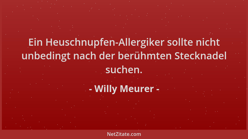 Willy Meurer - Ein Heuschnupfen-Allergiker sollte nicht unbedingt nach der berühmten Stecknadel suchen....