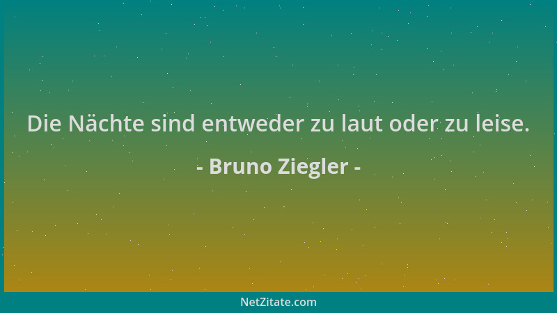 Bruno Ziegler - Die Nächte sind entweder zu laut oder zu leise....