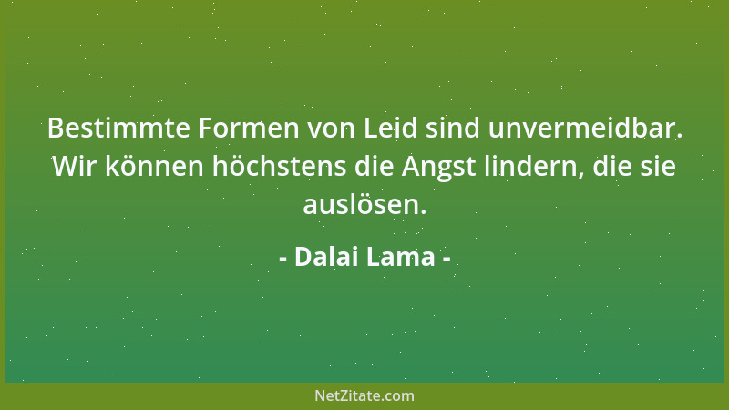 Dalai Lama - Bestimmte Formen von Leid sind unvermeidbar. Wir können höchstens die Angst lindern, die sie auslösen....
