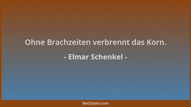 Elmar Schenkel - Ohne Brachzeiten verbrennt das Korn....