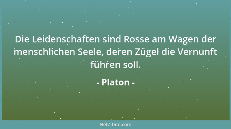 Platon - Die Leidenschaften sind Rosse am Wagen der menschlichen Seele, deren Zügel die Vernunft führen soll....
