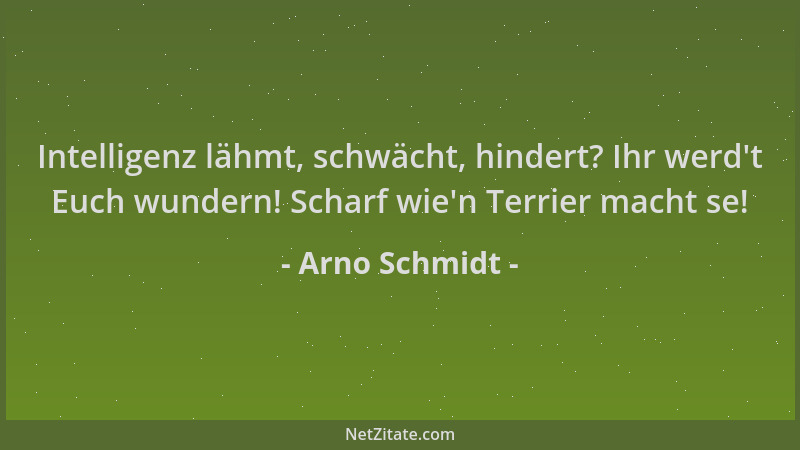 Arno Schmidt - Intelligenz lähmt, schwächt, hindert? Ihr werd 't Euch wundern! Scharf wie 'n Terrier macht se!...