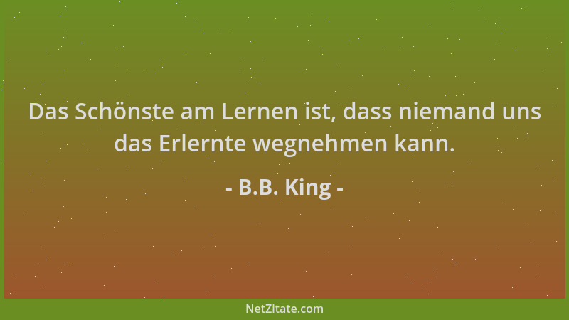 B.B. King - Das Schönste am Lernen ist, dass niemand uns das Erlernte wegnehmen kann....