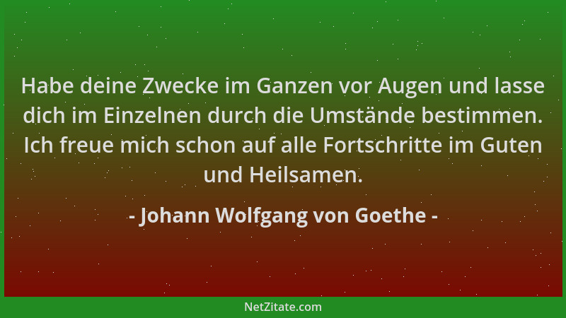 Johann Wolfgang von Goethe - Habe deine Zwecke im Ganzen vor Augen und lasse dich im Einzelnen durch die Umstände bestimmen...