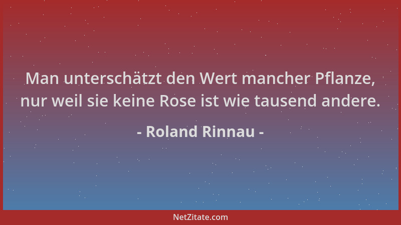 Roland Rinnau - Man unterschätzt den Wert mancher Pflanze, nur weil sie keine Rose ist wie tausend andere....