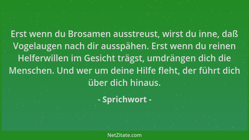 Sprichwort - Erst wenn du Brosamen ausstreust, wirst du inne, daß Vogelaugen nach dir ausspähen. Erst wenn du reinen Helfer...