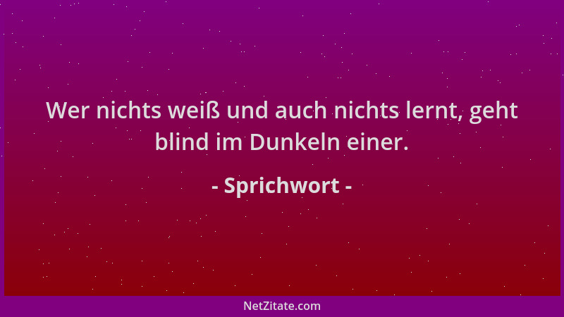 Sprichwort - Wer nichts weiß und auch nichts lernt, geht blind im Dunkeln einer....