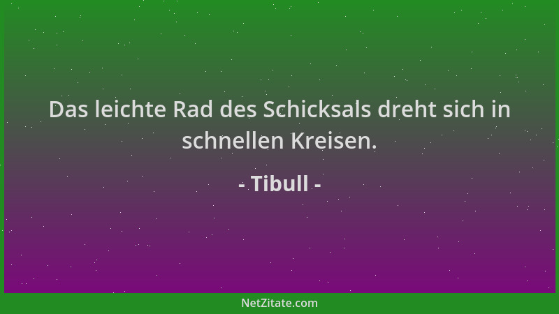 Tibull - Das leichte Rad des Schicksals dreht sich in schnellen Kreisen....